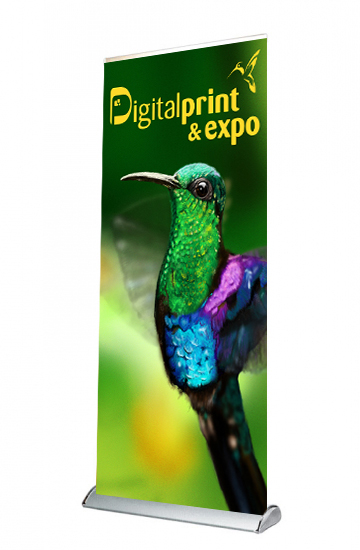 wave roll up kolibris